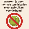 Waarom je geen normale tennisballen moet gebruiken voor je hond
