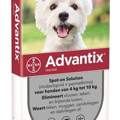 Collection image for: Gevoelige huid & allergie bij katten
