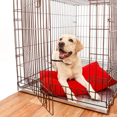 Collection image for: Benchkussens en kleden