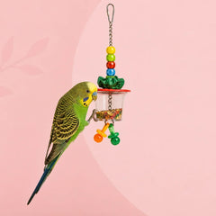 Collection image for: Foerageren vogels