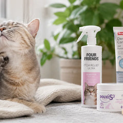 Collection image for: Huid, vacht & jeuk bij katten