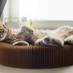Collection image for: Kattenmanden & kussens