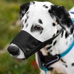 Collection image for: Muilkorven voor honden