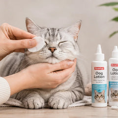 Collection image for: Oog- & oorverzorging voor katten