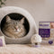 Stress, gedrag & angst bij katten