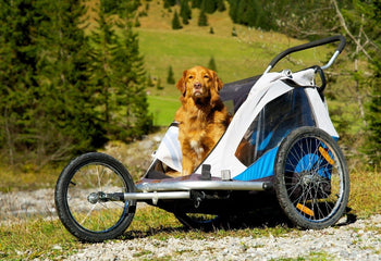 Hondenfietskar & buggy - Fidello