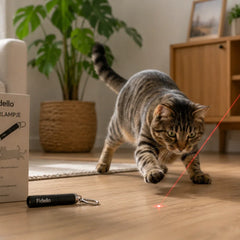 Collection image for: Laserlampjes voor katten