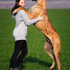 Collection image for: Voer voor hele grote rassen (>40kg)