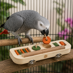 Collection image for: Puzzels voor vogels