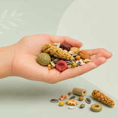 Collection image for: Snacks voor vogels
