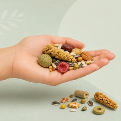 Collection image for: Snacks voor vogels