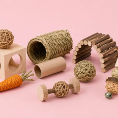 Collection image for: Knaagdierspeelgoed