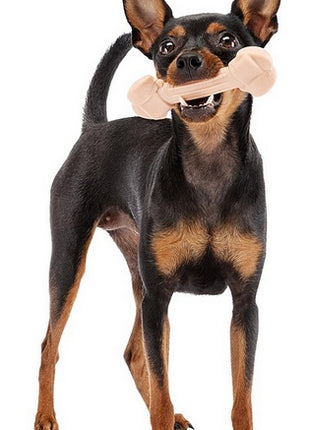 Ferplast GoodBite Natural SinglePack Szynka 1szt M 70g