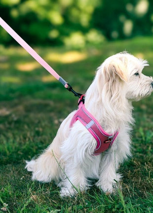 Zolux Szelki oddychające z siatki L zielone