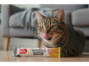 Zolux Sweeties Kremowy przysmak dla kota - kurczak 14g