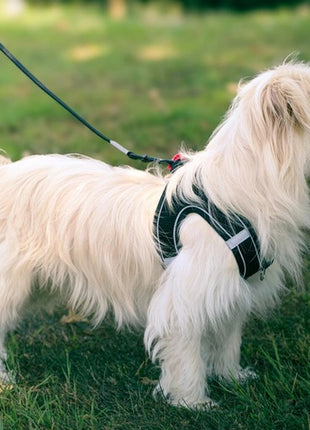 Zolux Szelki oddychające z siatki L zielone