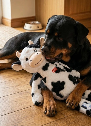 Zolux Zabawka pluszowa Furry Farm Krowa Isache 60cm