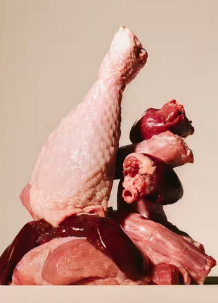 Carnilove Dog Turkey & Duck - indyk i kaczka saszetka 300g