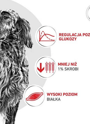 Royal Canin Veterinary Diet Canine Glycobalance Low Carbohydrate Loaf puszka 410g