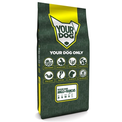 Yourdog Grand Anglo-Français Tricolore Pup