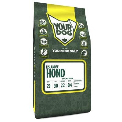 Yourdog Ijslandse Hond Volwassen