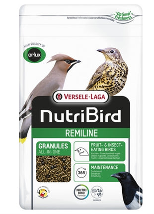 Orlux Remiline Pateekorrel