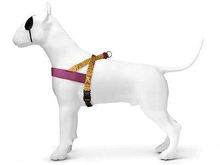 Morso Norwegian Hondentuig Gerecycled Jungle Drum Oranje