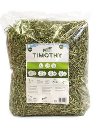 Bunny Nature Timothy Hooi