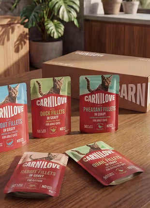 Carnilove Cat Wild Boar - dzik w sosie saszetka 85g