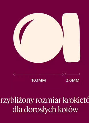 Carnilove Cat Active Salmon & Turkey - łosoś i indyk 2kg
