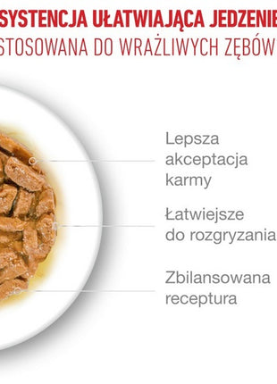 Royal Canin Ageing +15 karma mokra dla kotów dojrzałych w sosie saszetka 85g