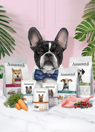 Amanova Dog Adult Mini Exquisite Chicken - kurczak 2kg