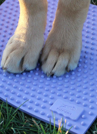 FitPaws TRAX Targets (2 stuks) – afbeelding 5