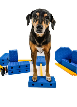FitPaws FitKinect Xtra