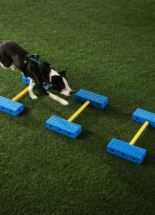 FitPaws FitKinect Core – afbeelding 3