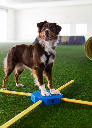 FitPaws FitKinect Core – afbeelding 2