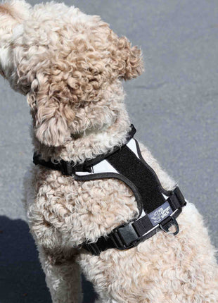 K9 Sport Sack® Quick-Release Hondentuig Lunar Rock – afbeelding 2