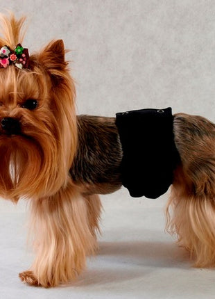 Grande Finale Pampas czarny - majtki dla samca rozmiar 1 [PA1/1]