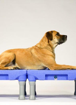 Blue-9 KLIMB Trainingsplatform – afbeelding 6