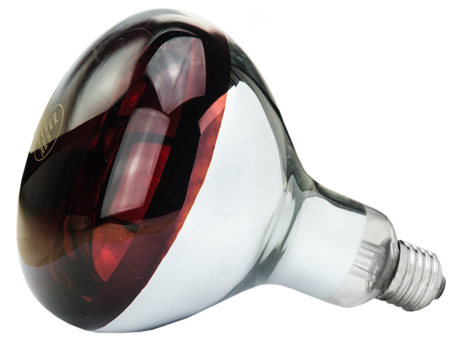 Hard Glas Lamp 250 W - Rood