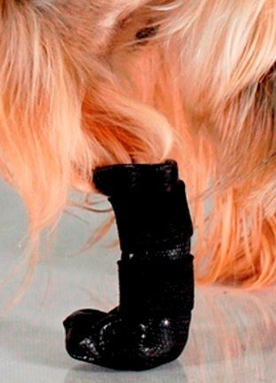 Grande Finale But na chorą łapę r.3 - 6cm