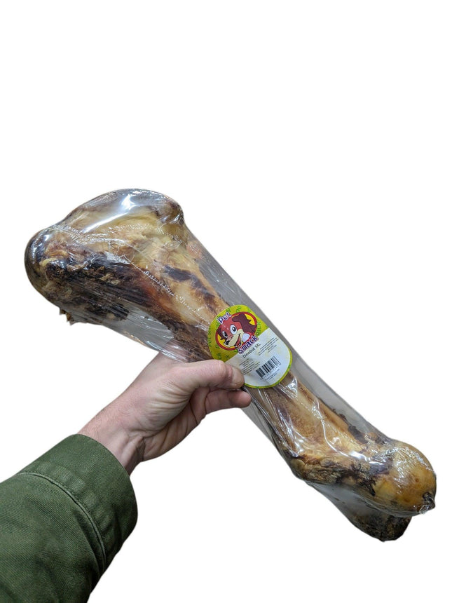 Petsnack Dinobot Xxl