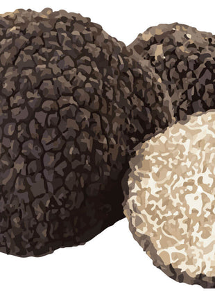 SwissCowers Cheese Bars Truffle L