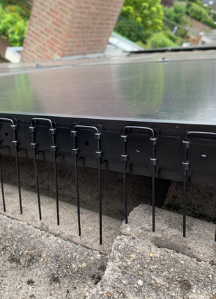 Vogelpinnen Zonnepanelen 50 cm Transparant