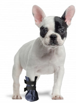 Grande Finale But na chorą łapę r.4 - 8cm