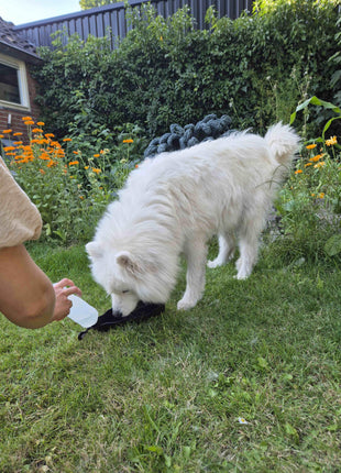 Petgear Travel Drinkfles – Waterfles en waterbak in één voor onderweg