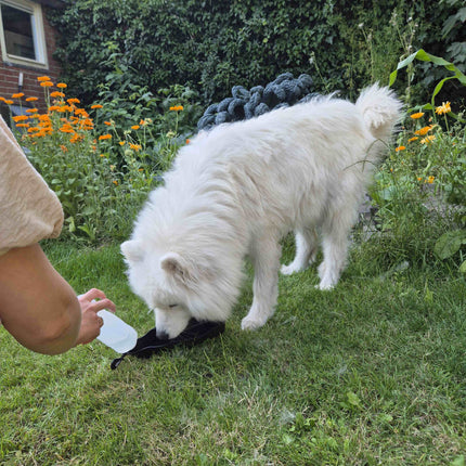 Petgear Travel Drinkfles – Waterfles en waterbak in één voor onderweg